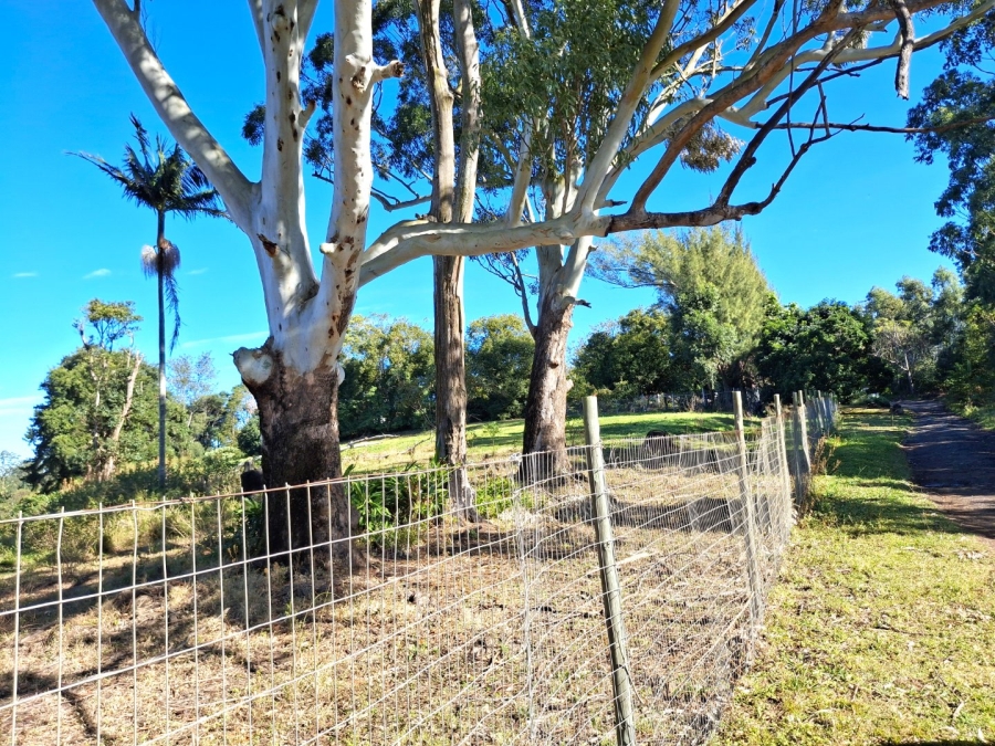  Bedroom Property for Sale in Port Edward KwaZulu-Natal