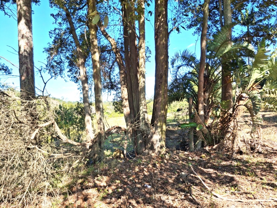  Bedroom Property for Sale in Port Edward KwaZulu-Natal