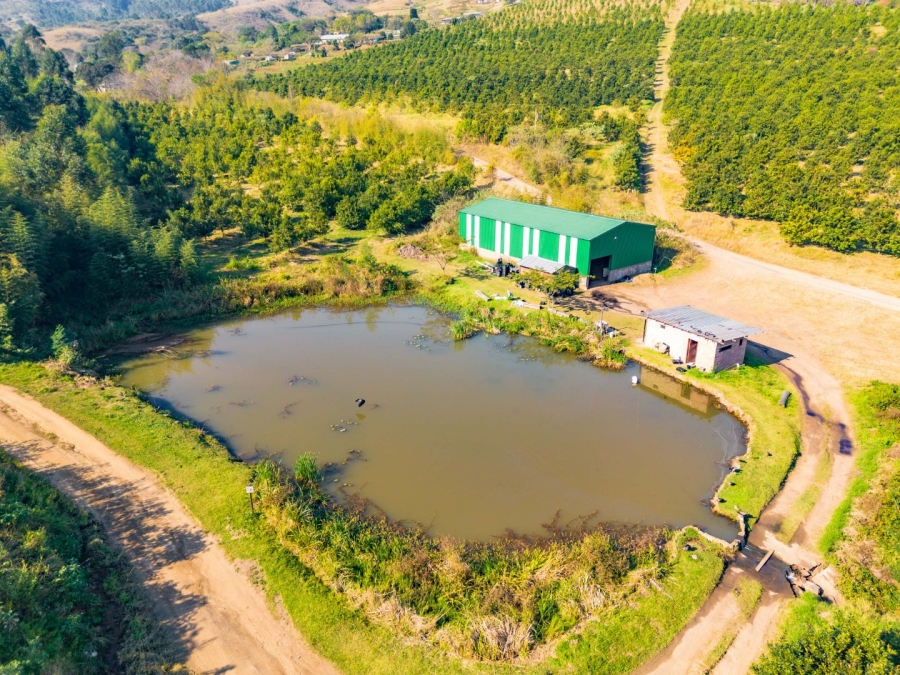 3 Bedroom Property for Sale in Peacevale KwaZulu-Natal