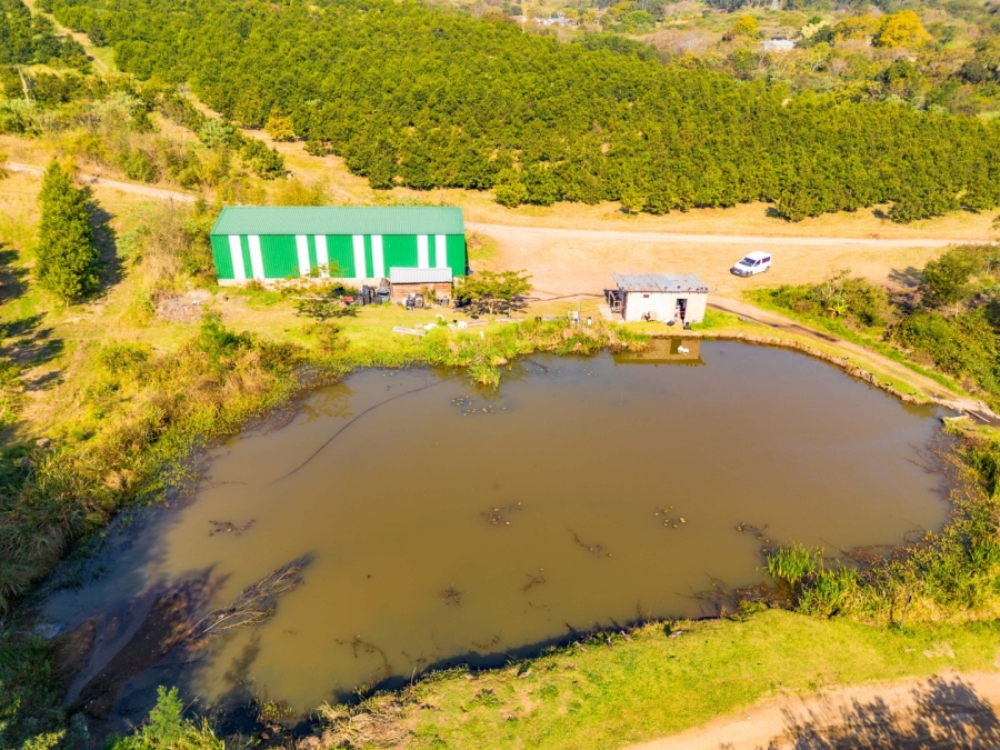 3 Bedroom Property for Sale in Peacevale KwaZulu-Natal
