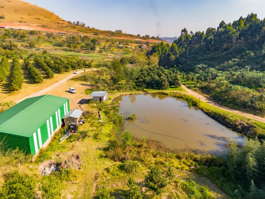 3 Bedroom Property for Sale in Peacevale KwaZulu-Natal