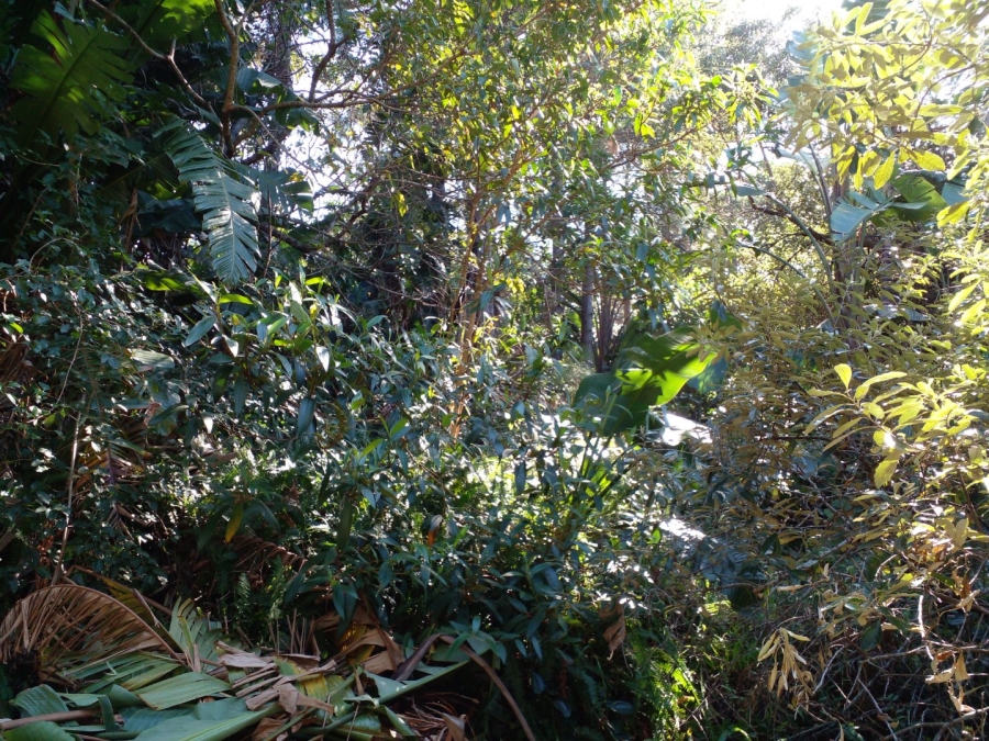  Bedroom Property for Sale in Leisure Bay KwaZulu-Natal