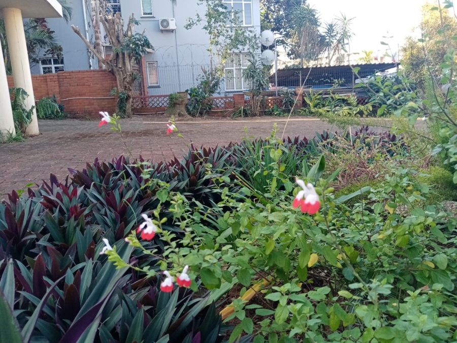 8 Bedroom Property for Sale in Essenwood KwaZulu-Natal