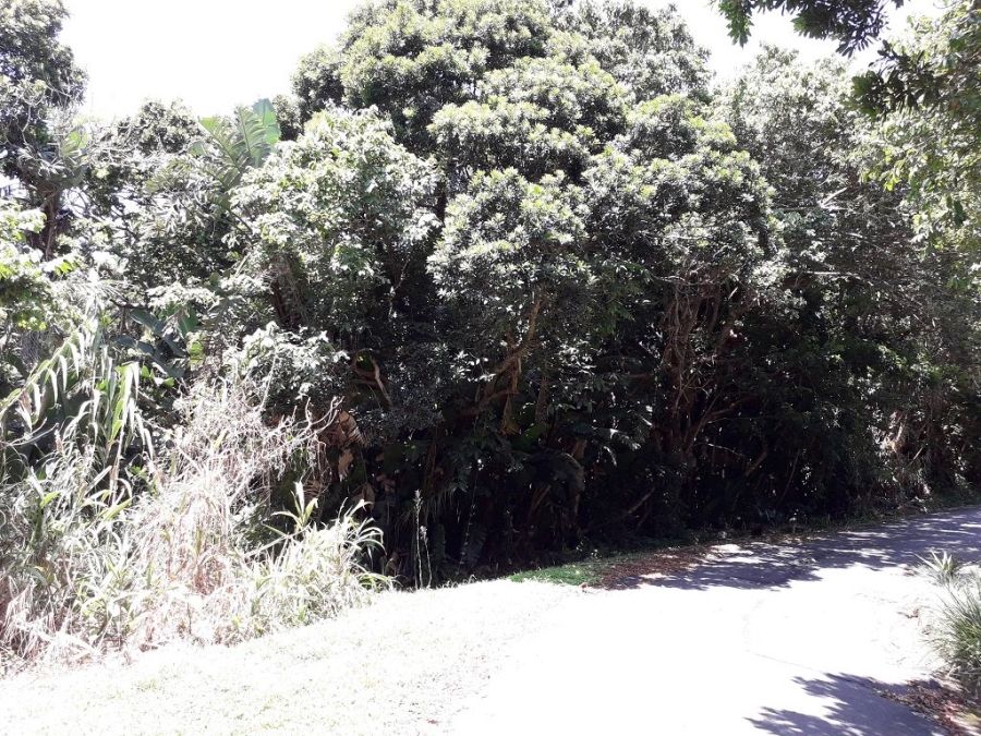  Bedroom Property for Sale in Southbroom KwaZulu-Natal