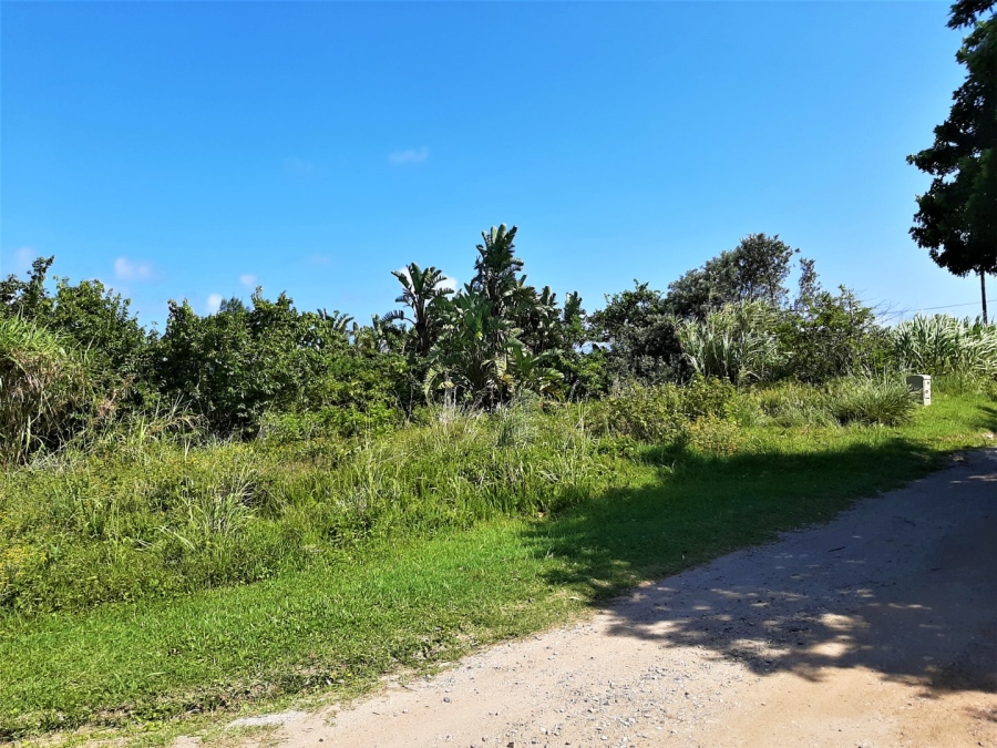  Bedroom Property for Sale in Port Edward KwaZulu-Natal