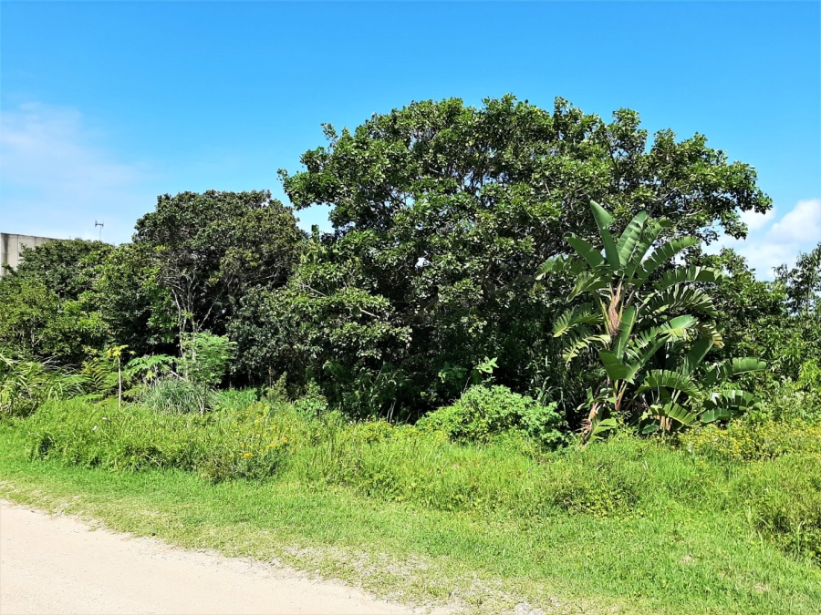  Bedroom Property for Sale in Port Edward KwaZulu-Natal