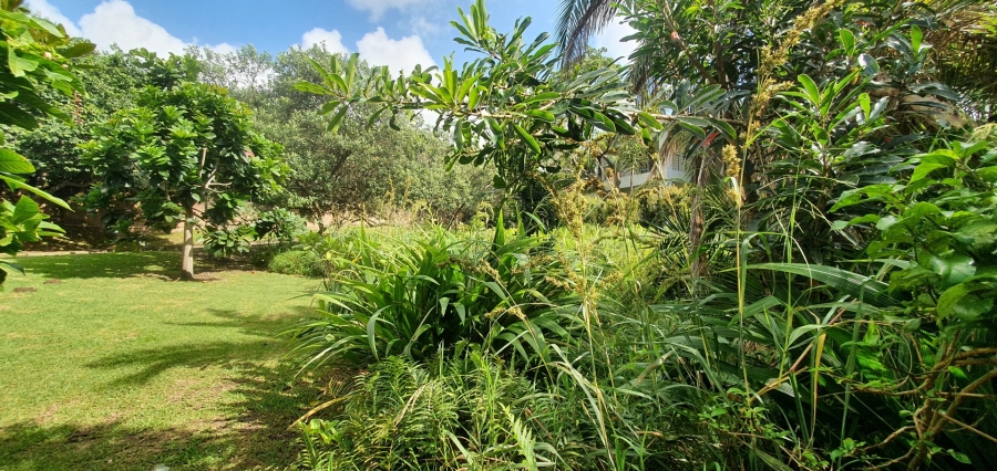  Bedroom Property for Sale in Shelly Beach KwaZulu-Natal