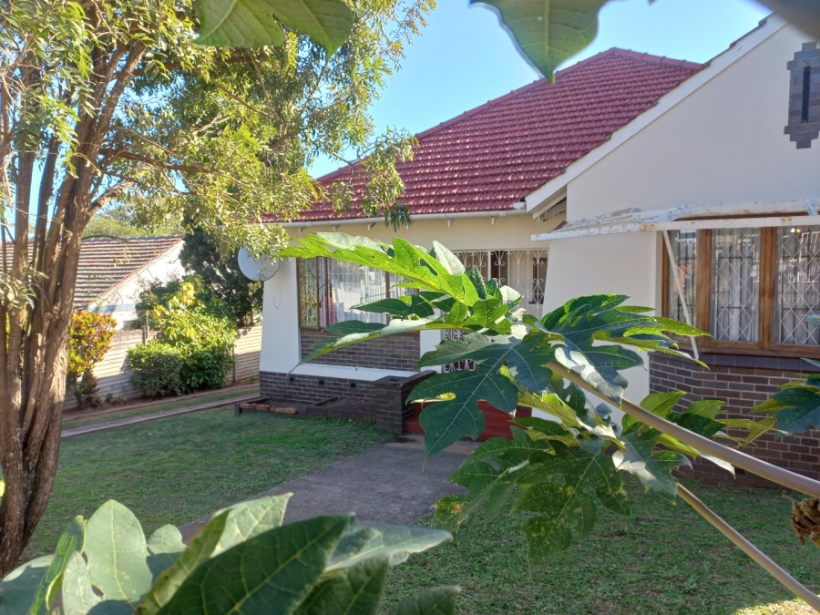 To Let 3 Bedroom Property for Rent in Umbilo KwaZulu-Natal