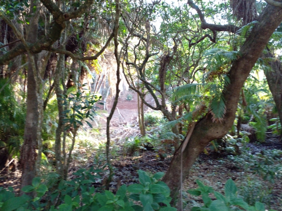  Bedroom Property for Sale in Ramsgate KwaZulu-Natal