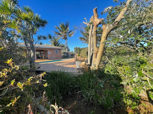 3 Bedroom Property for Sale in Trafalgar KwaZulu-Natal