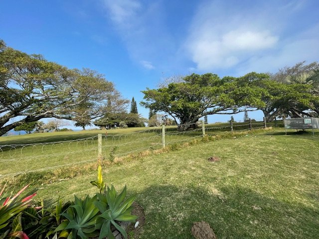 3 Bedroom Property for Sale in Port Edward KwaZulu-Natal