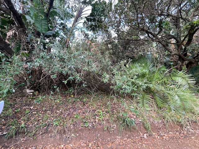  Bedroom Property for Sale in Trafalgar KwaZulu-Natal