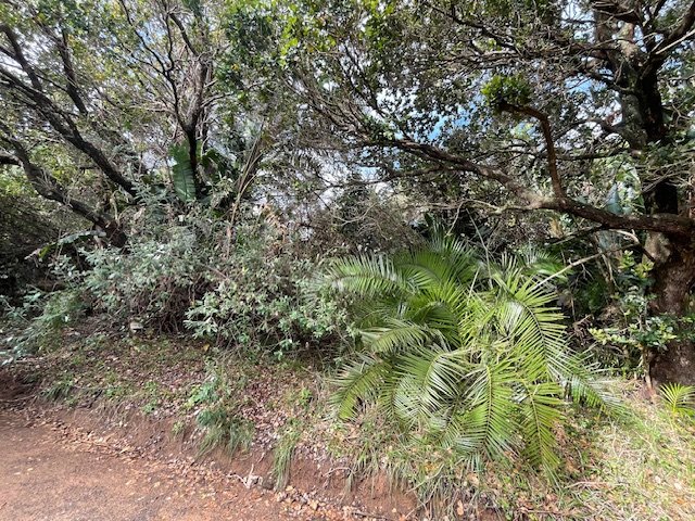  Bedroom Property for Sale in Trafalgar KwaZulu-Natal