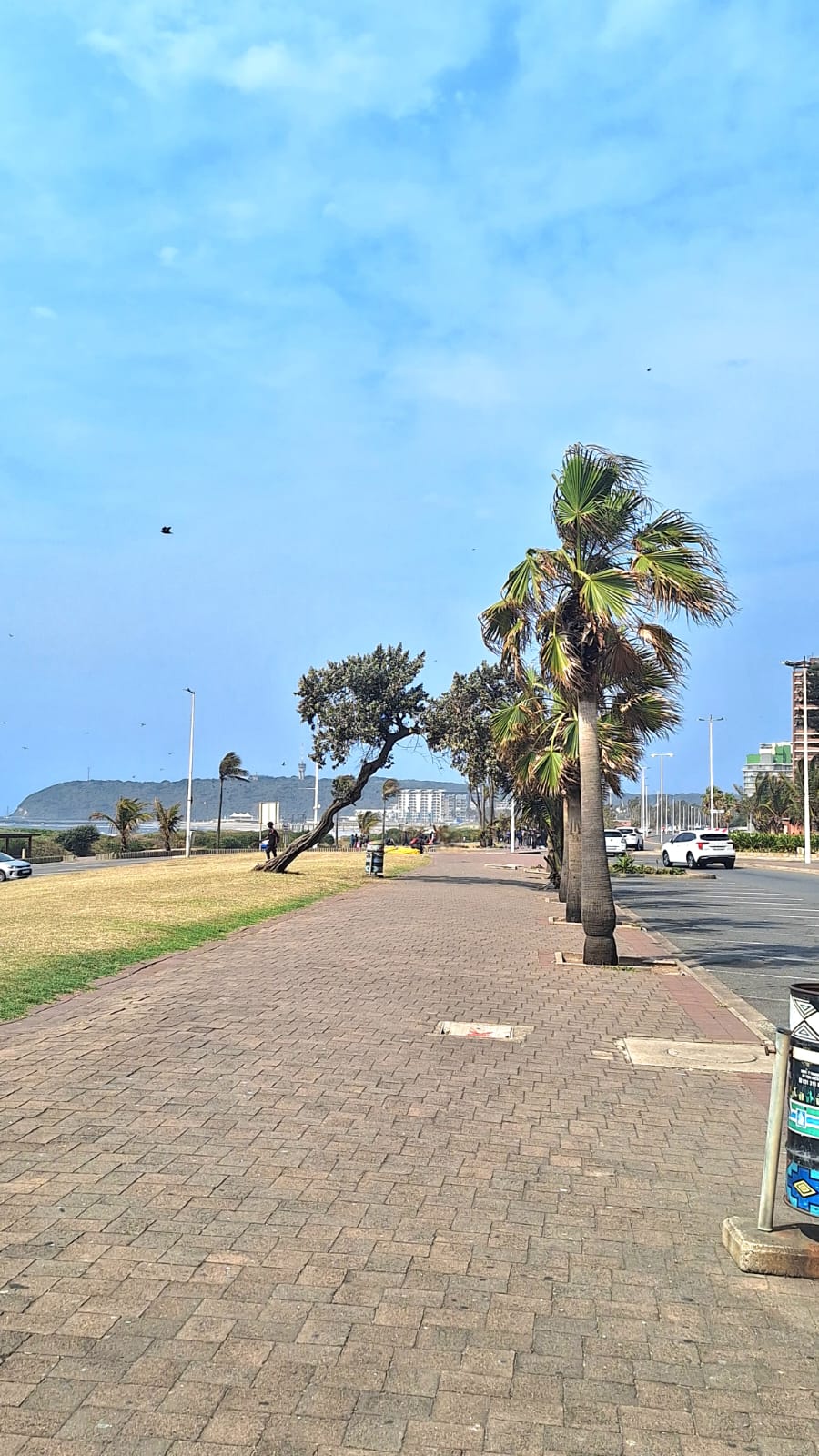 2 Bedroom Property for Sale in South Beach KwaZulu-Natal