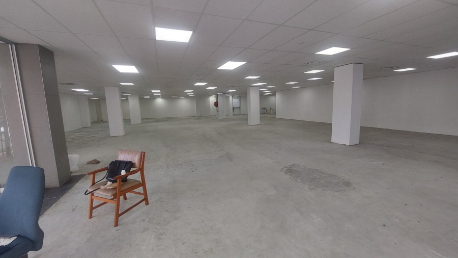 To Let commercial Property for Rent in Musgrave KwaZulu-Natal
