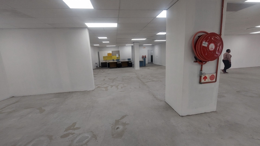 To Let commercial Property for Rent in Musgrave KwaZulu-Natal