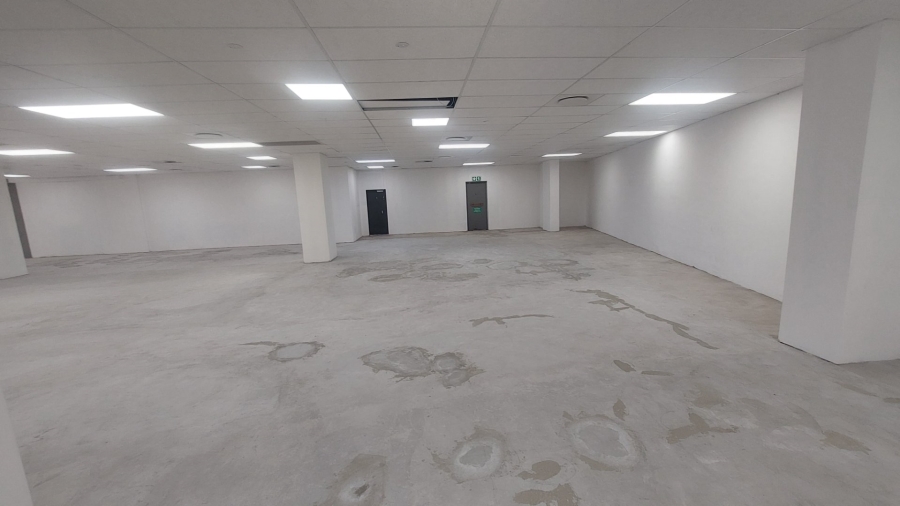 To Let commercial Property for Rent in Musgrave KwaZulu-Natal