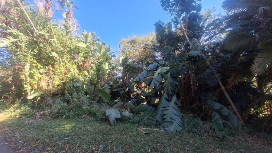  Bedroom Property for Sale in Southbroom KwaZulu-Natal