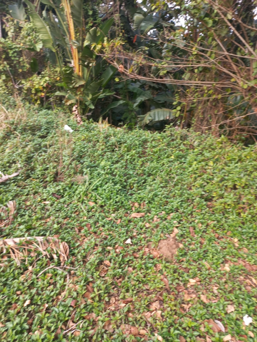  Bedroom Property for Sale in Palm Beach KwaZulu-Natal
