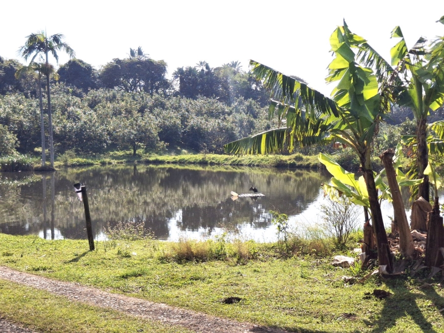 2 Bedroom Property for Sale in Banners Rest KwaZulu-Natal