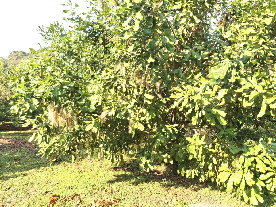 2 Bedroom Property for Sale in Banners Rest KwaZulu-Natal