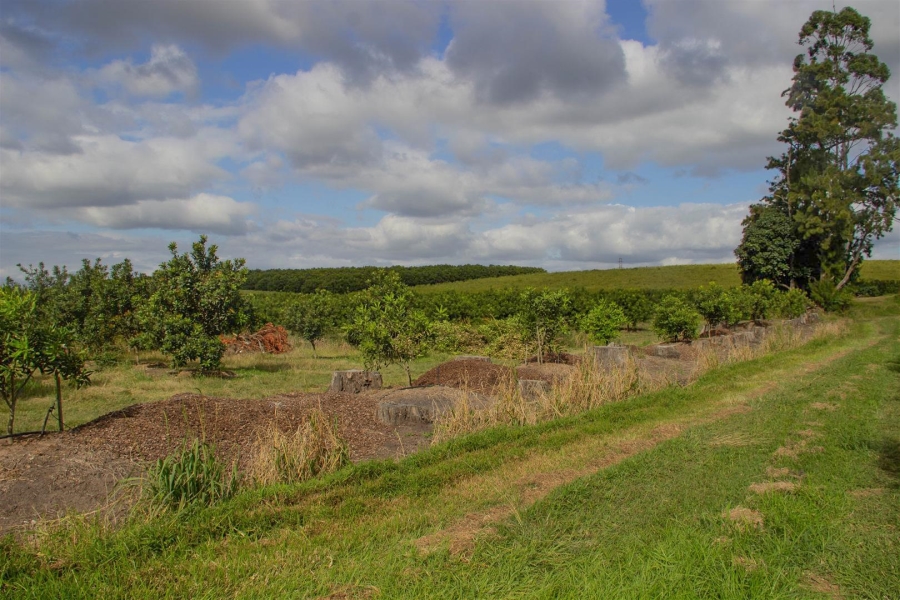 3 Bedroom Property for Sale in Paddock KwaZulu-Natal