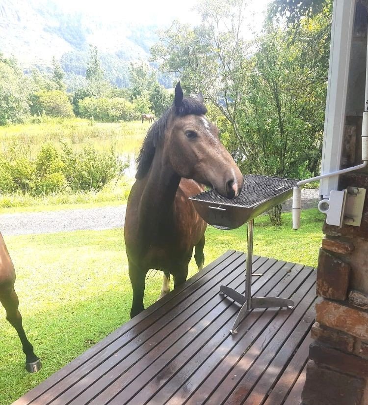 3 Bedroom Property for Sale in Winterton Rural KwaZulu-Natal