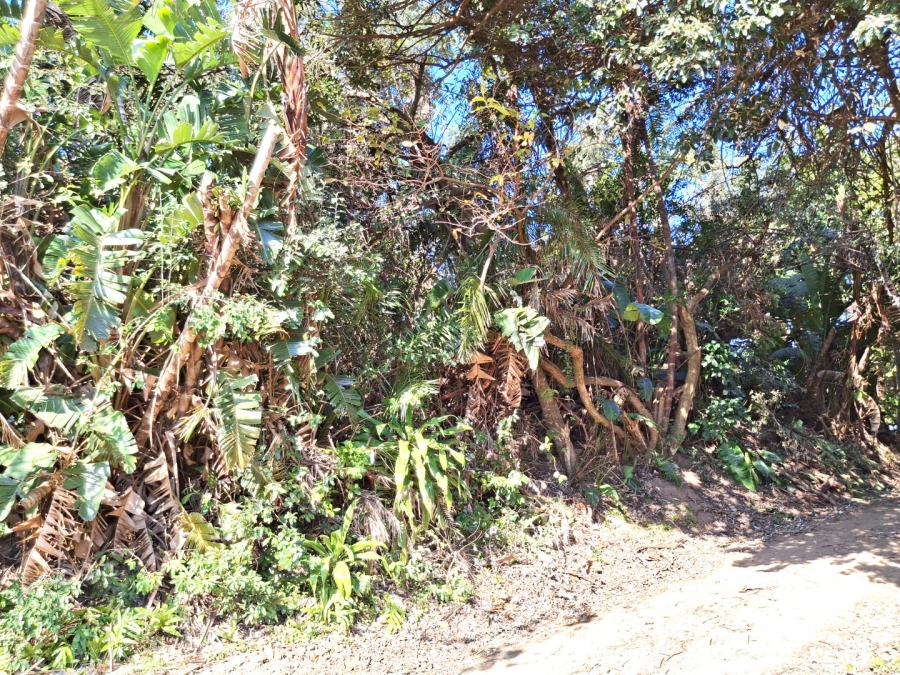  Bedroom Property for Sale in Palm Beach KwaZulu-Natal
