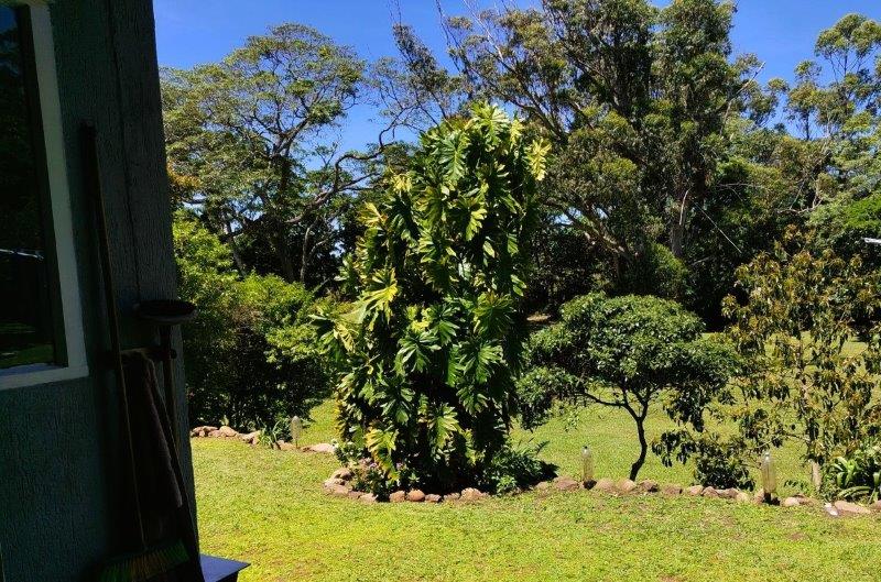 2 Bedroom Property for Sale in Hibberdene KwaZulu-Natal