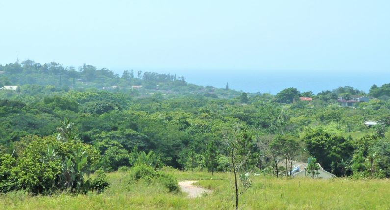  Bedroom Property for Sale in Margate KwaZulu-Natal