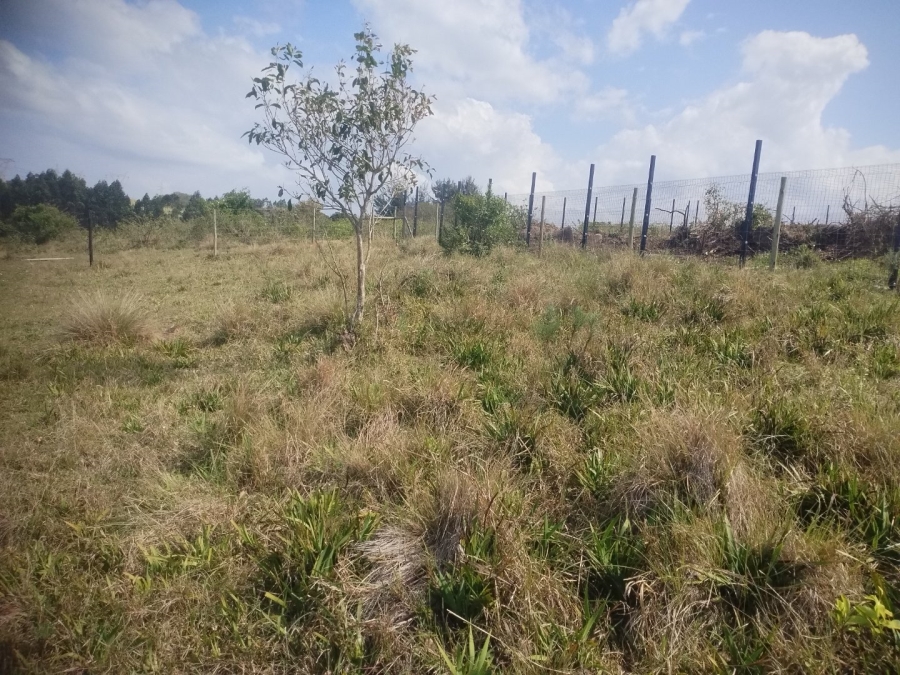  Bedroom Property for Sale in Ongoye KwaZulu-Natal