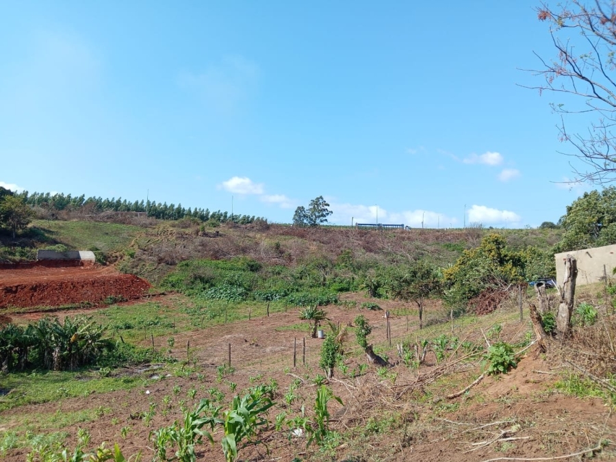 Commercial Property for Sale in Ongoye KwaZulu-Natal