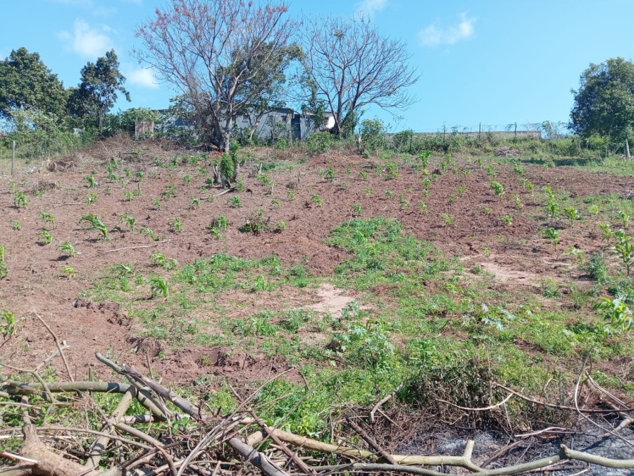 Commercial Property for Sale in Ongoye KwaZulu-Natal