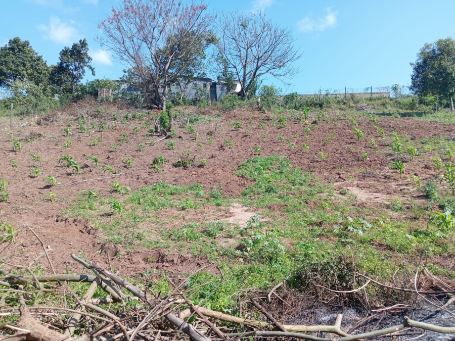 Commercial Property for Sale in Ongoye KwaZulu-Natal
