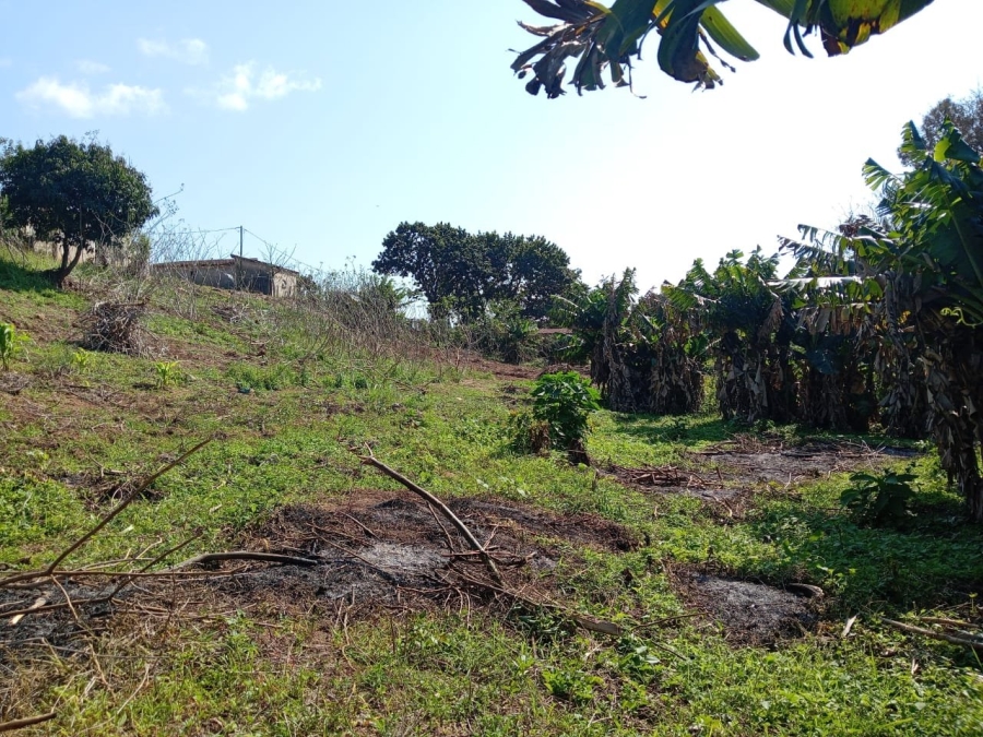 Commercial Property for Sale in Ongoye KwaZulu-Natal