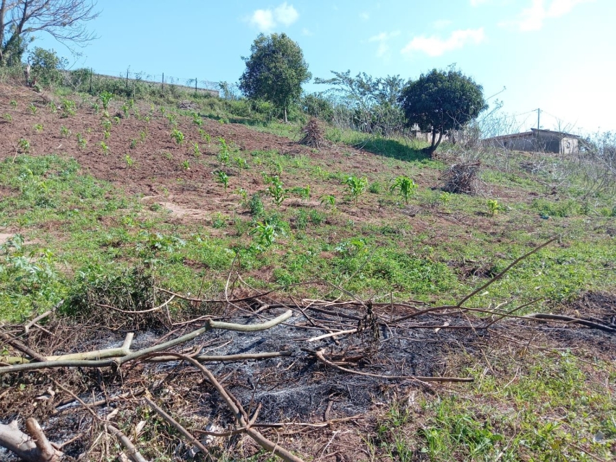Commercial Property for Sale in Ongoye KwaZulu-Natal