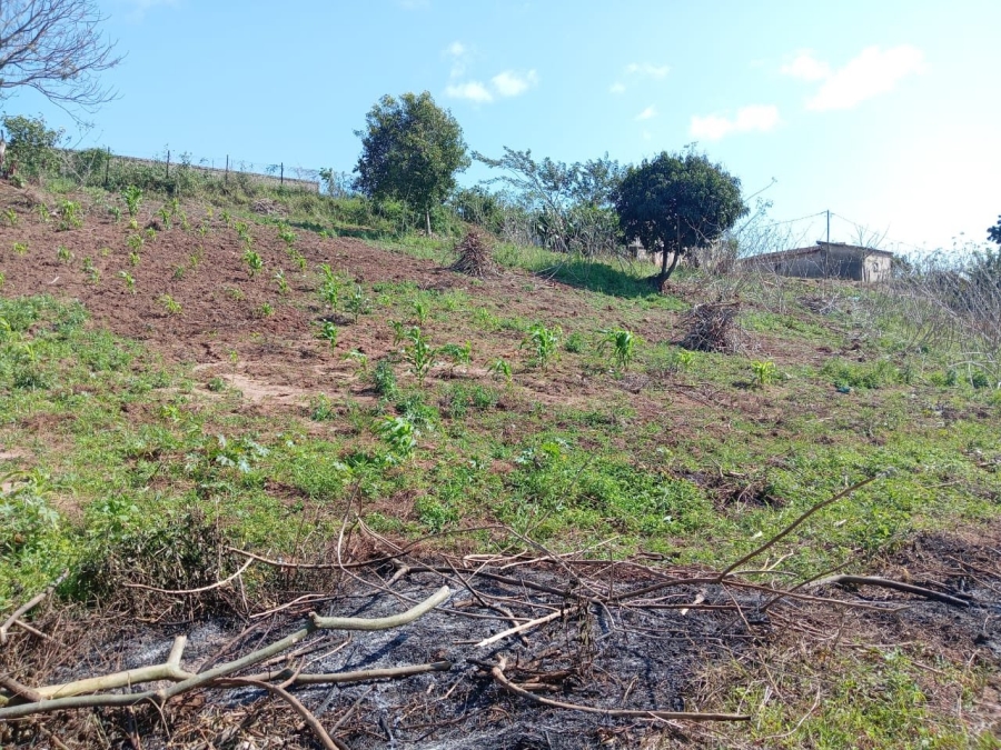 Commercial Property for Sale in Ongoye KwaZulu-Natal