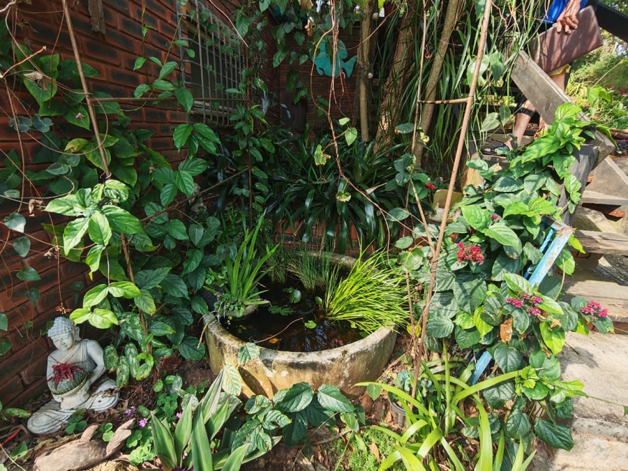 3 Bedroom Property for Sale in Mtwalume KwaZulu-Natal
