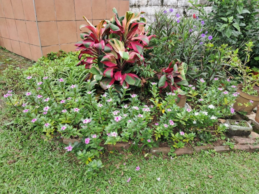 3 Bedroom Property for Sale in Albersville KwaZulu-Natal