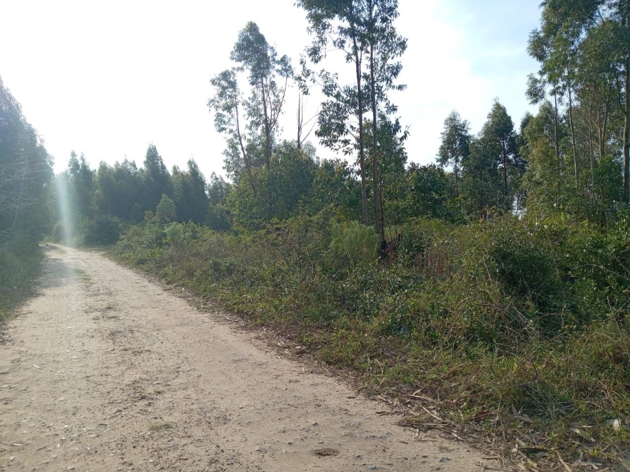Commercial Property for Sale in Esikhawini KwaZulu-Natal