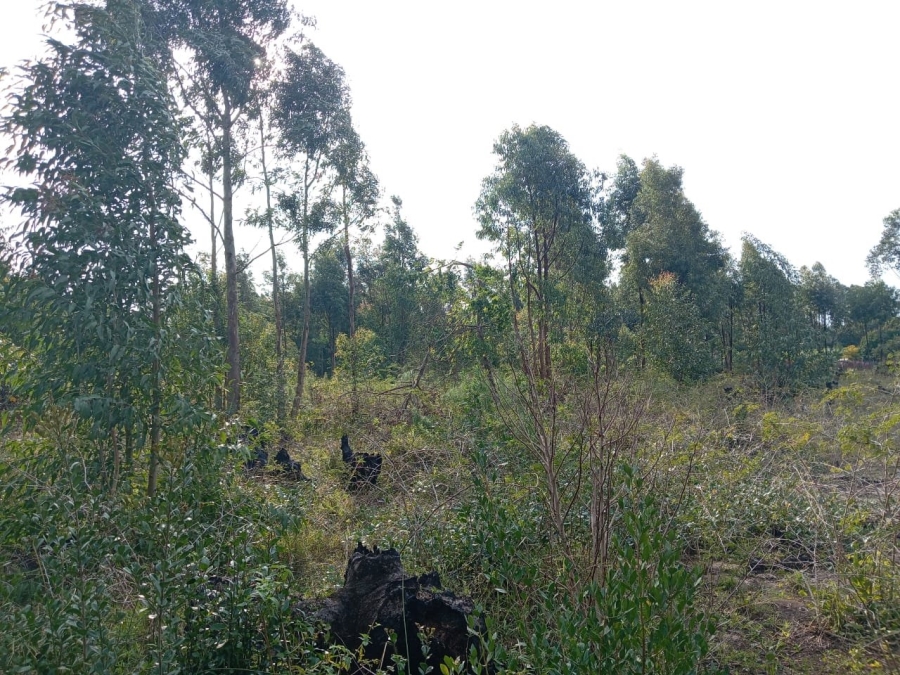 Commercial Property for Sale in Esikhawini KwaZulu-Natal
