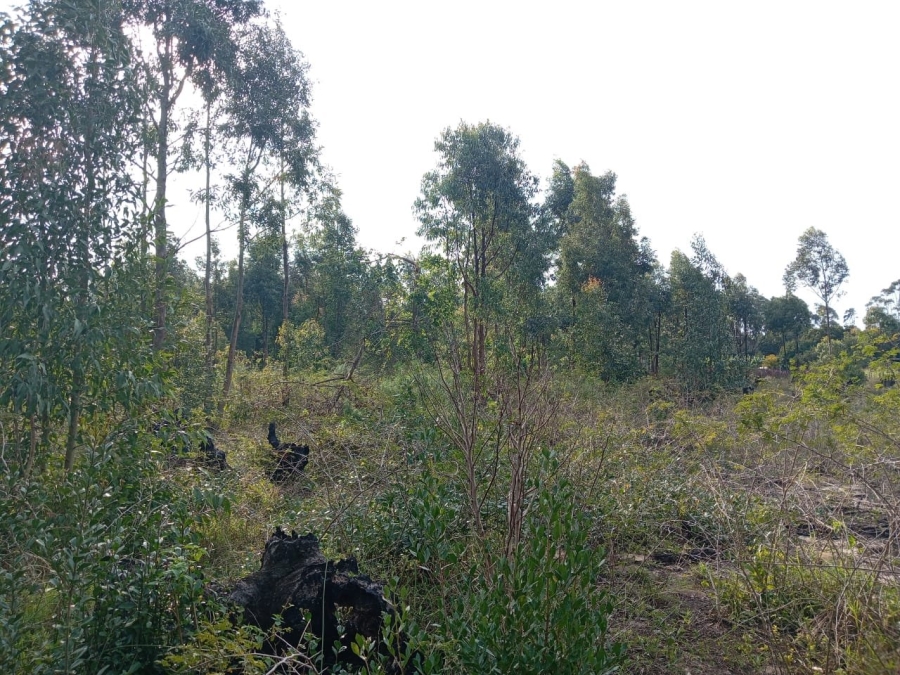 Commercial Property for Sale in Esikhawini KwaZulu-Natal