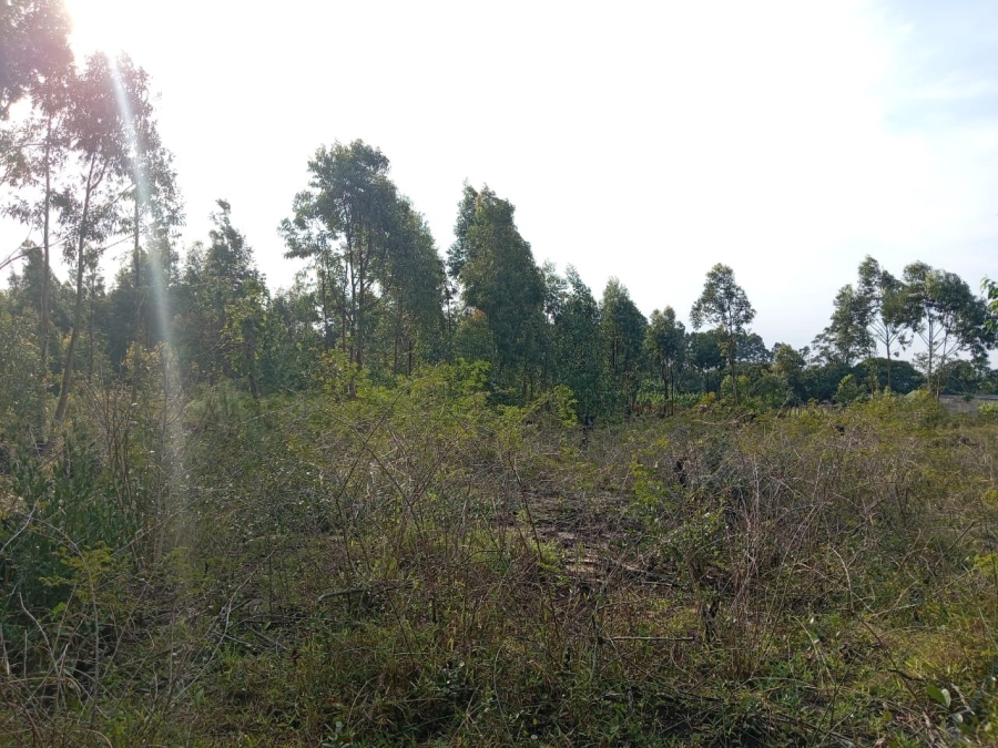 Commercial Property for Sale in Esikhawini KwaZulu-Natal