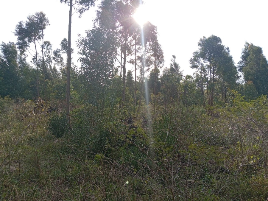 Commercial Property for Sale in Esikhawini KwaZulu-Natal