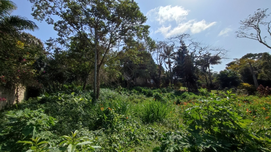 Commercial Property for Sale in Umtentweni KwaZulu-Natal
