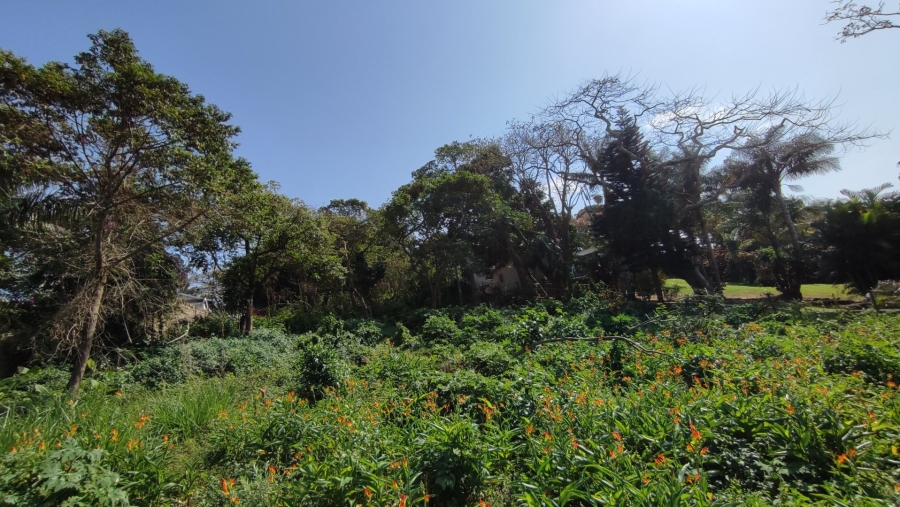 Commercial Property for Sale in Umtentweni KwaZulu-Natal