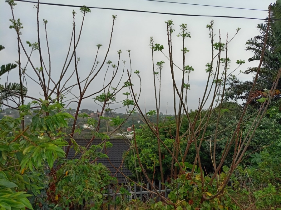 Commercial Property for Sale in St Michaels On Sea KwaZulu-Natal