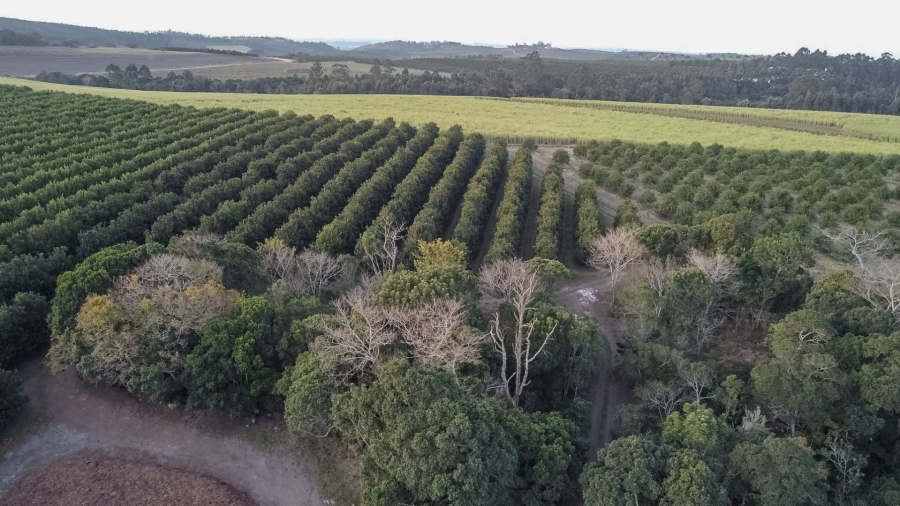 Commercial Property for Sale in Paddock KwaZulu-Natal