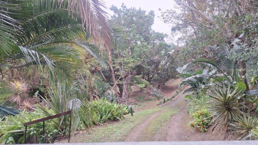 3 Bedroom Property for Sale in Elysium KwaZulu-Natal