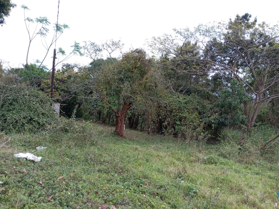 Commercial Property for Sale in Ongoye KwaZulu-Natal